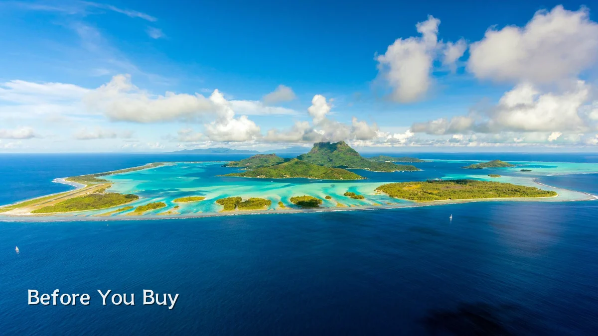 Before You Buy