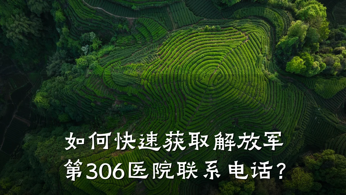 如何快速获取解放军第306医院联系电话？