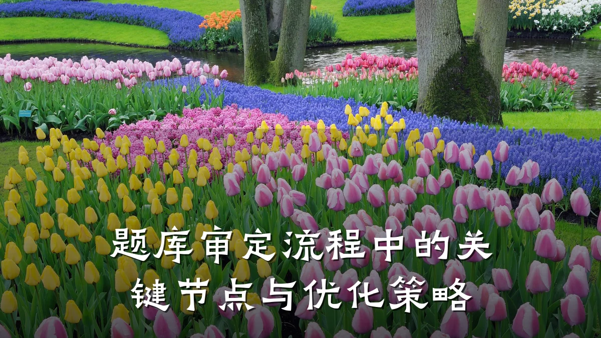 题库审定流程中的关键节点与优化策略