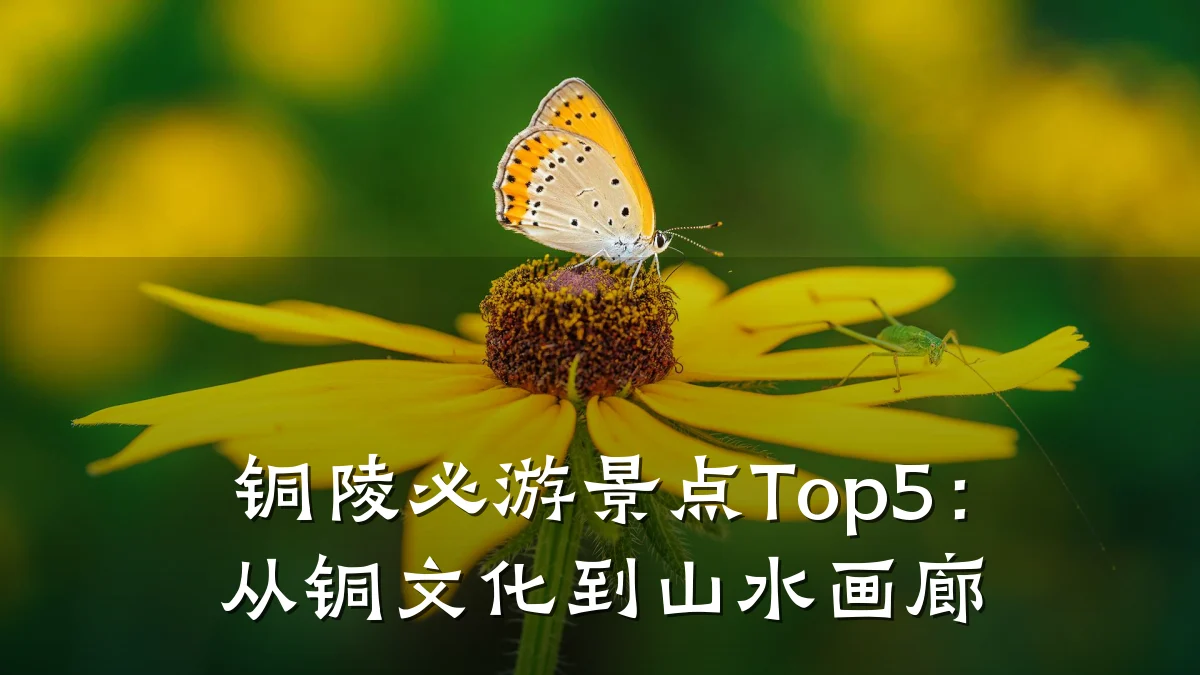 铜陵必游景点Top5：从铜文化到山水画廊