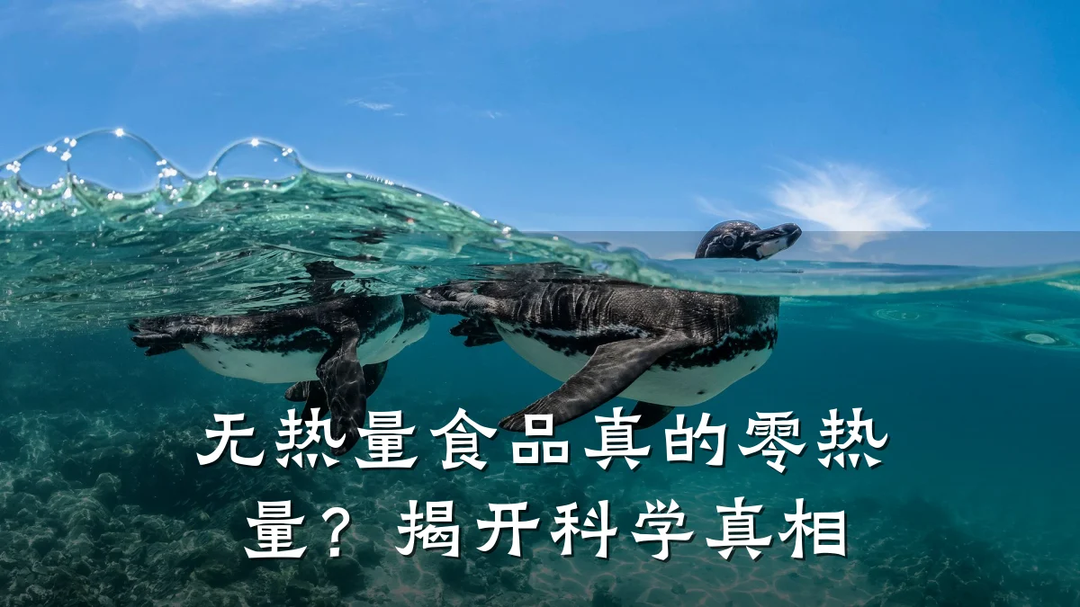 无热量食品真的零热量?揭开科学真相