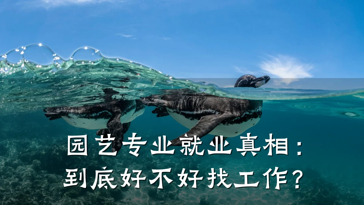 园艺专业就业真相:到底好不好找工作?