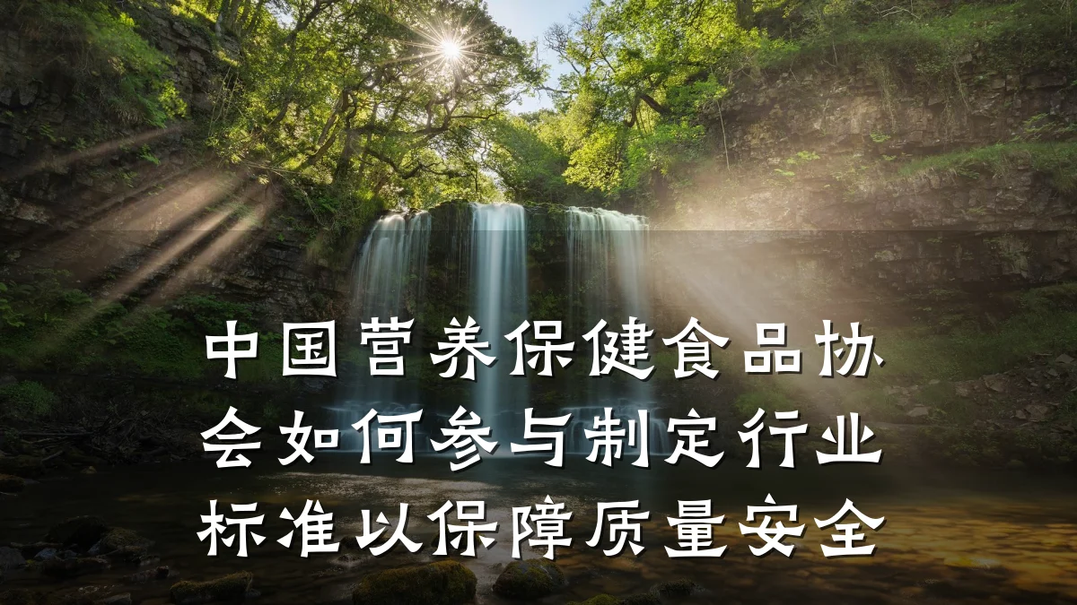 中国营养保健食品协会如何参与制定行业标准以保障质量安全