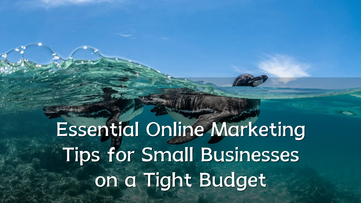 Essential Online Marketing Tips for Small Businesses on a Tight Budget