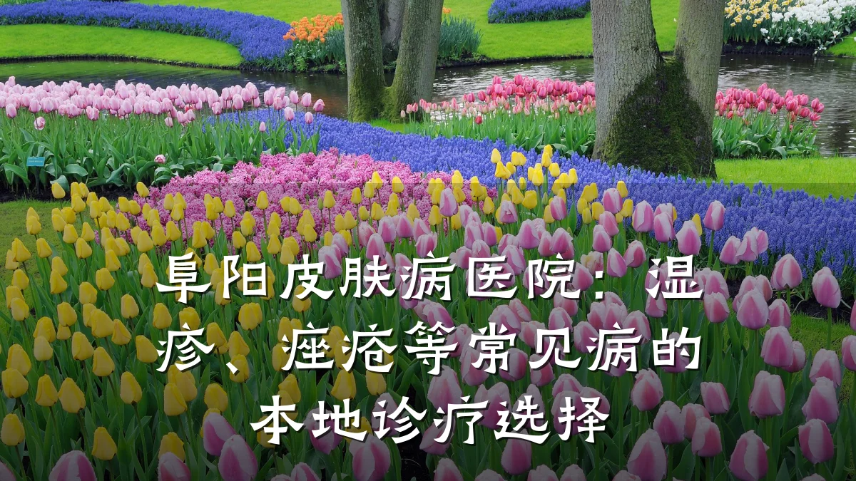 阜阳皮肤病医院：湿疹、痤疮等常见病的本地诊疗选择