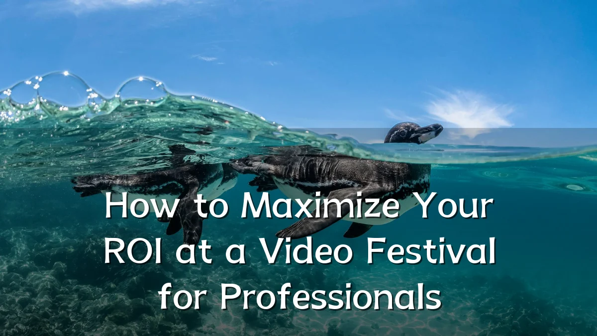 How to Maximize Your ROI at a Video Festival for Professionals