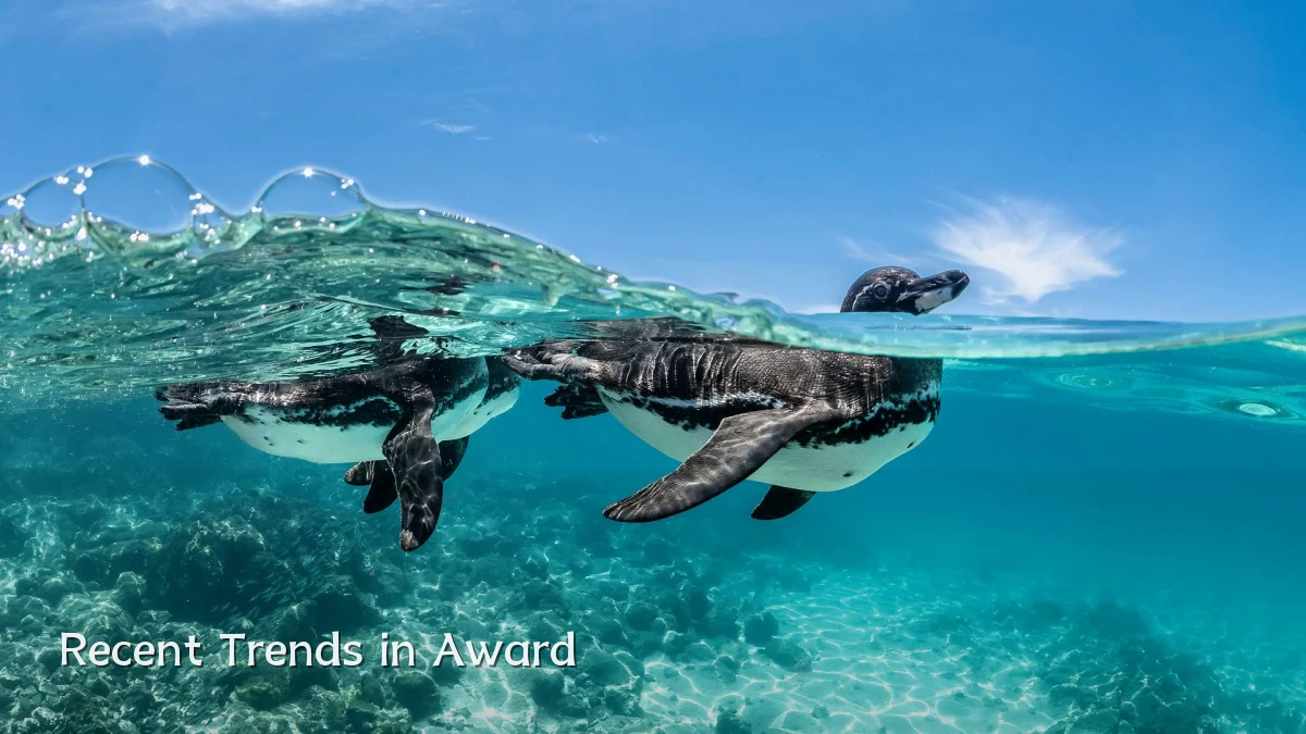 Recent Trends in Award