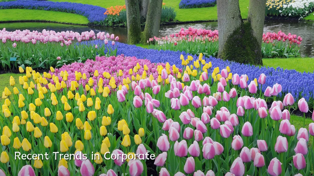 Recent Trends in Corporate