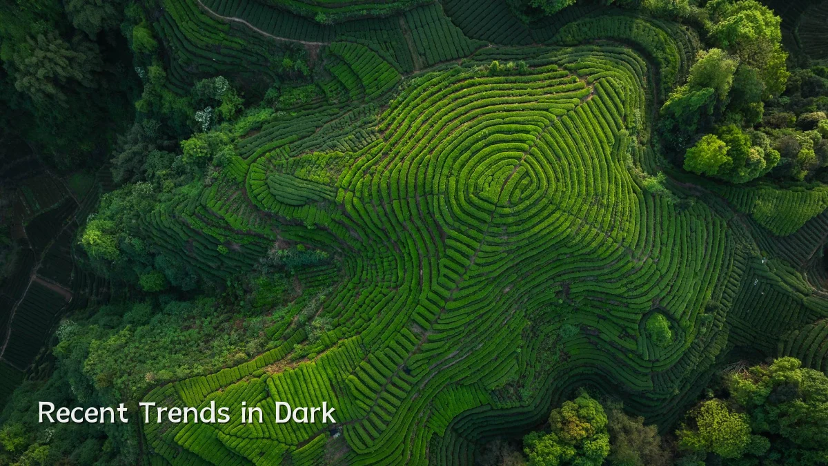 Recent Trends in Dark