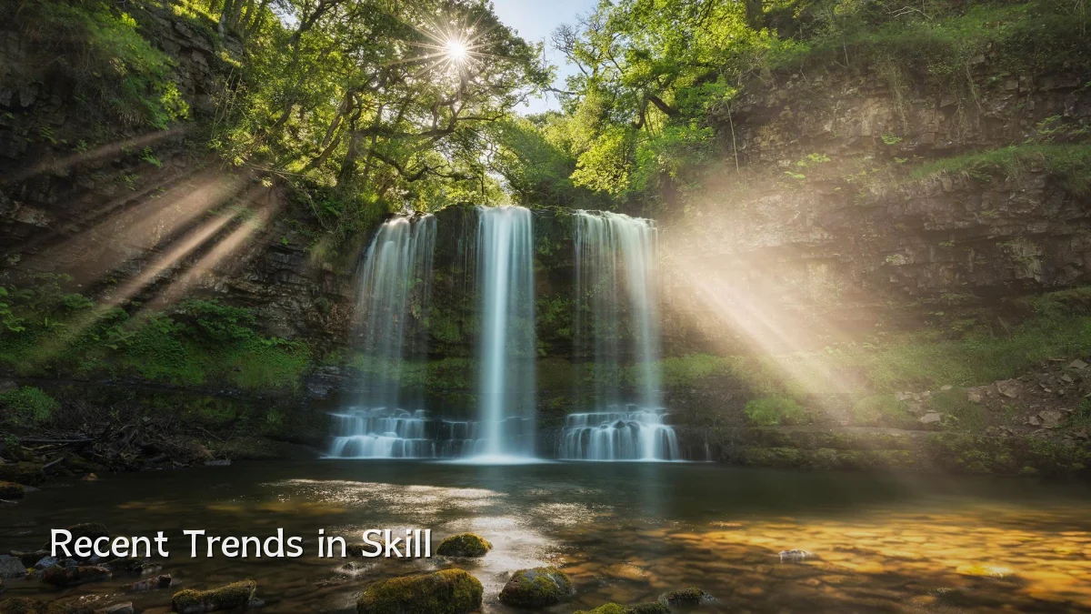 Recent Trends in Skill