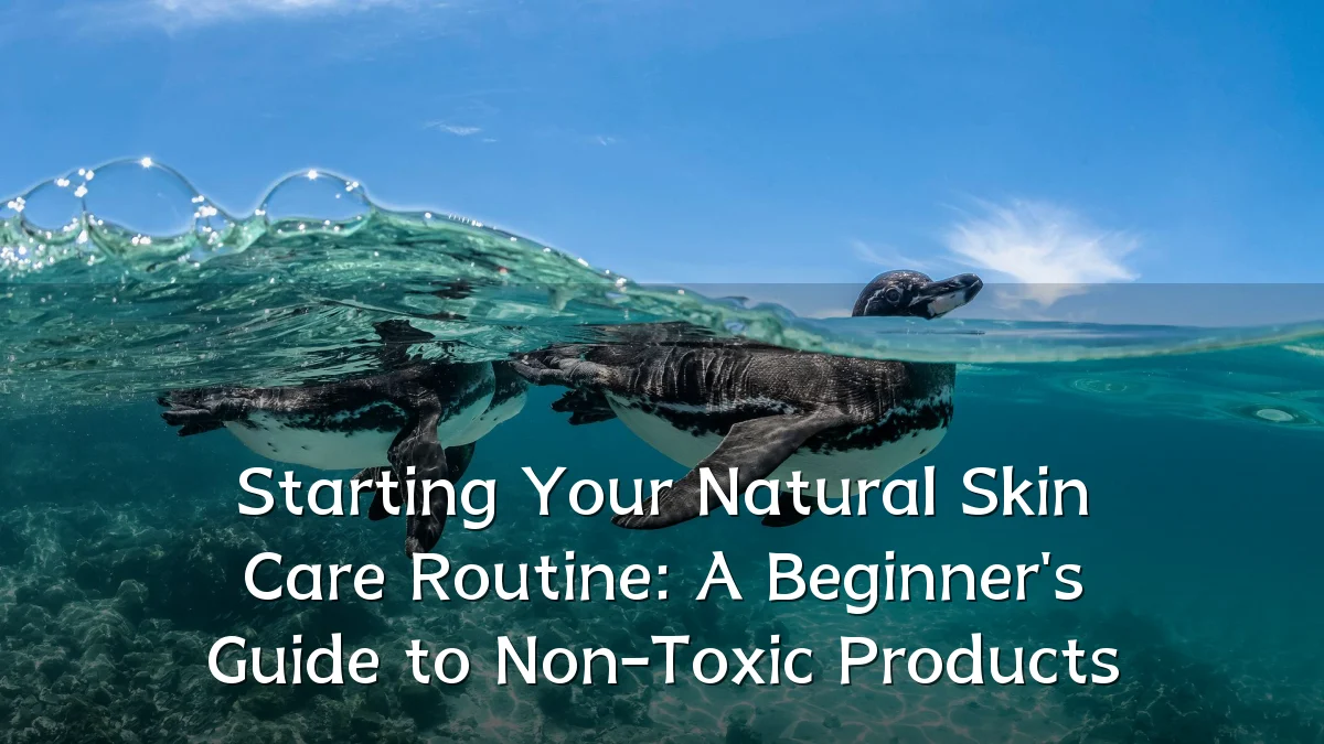 Starting Your Natural Skin Care Routine: A Beginner's Guide to Non-Toxic Products