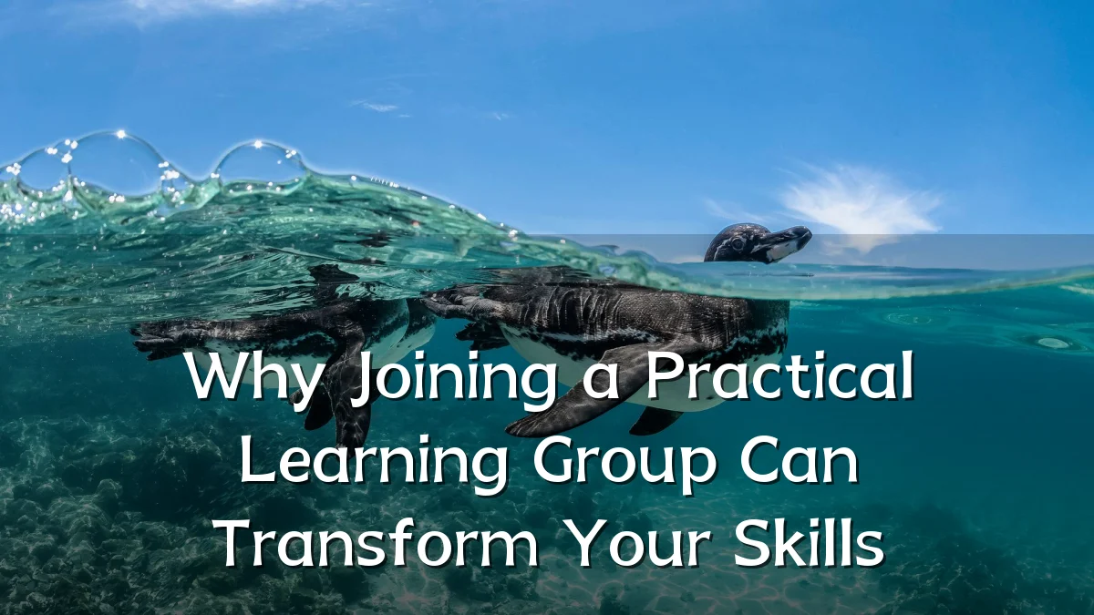 Why Joining a Practical Learning Group Can Transform Your Skills
