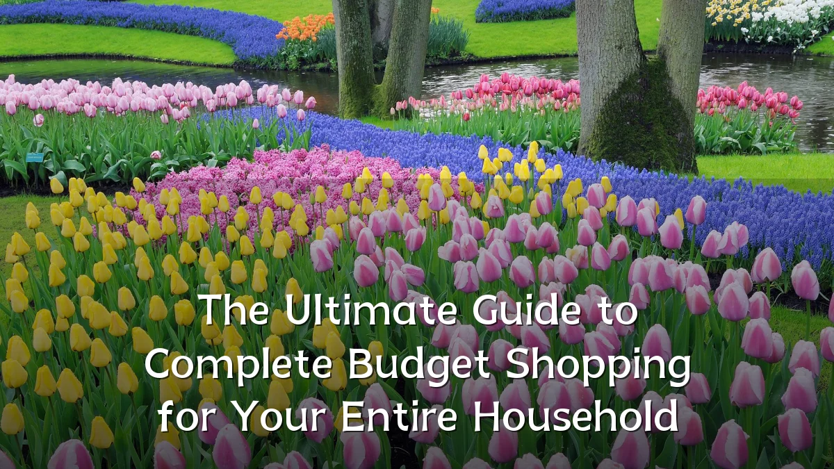 The Ultimate Guide to Complete Budget Shopping for Your Entire Household
