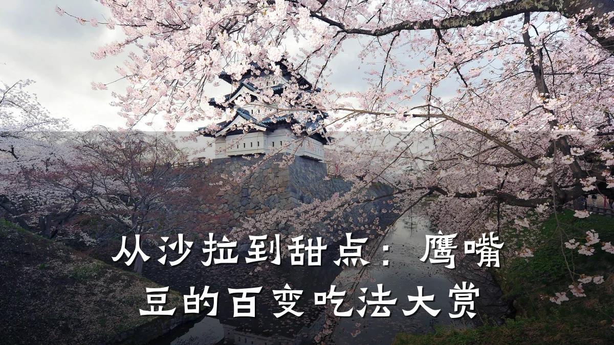 从沙拉到甜点：鹰嘴豆的百变吃法大赏