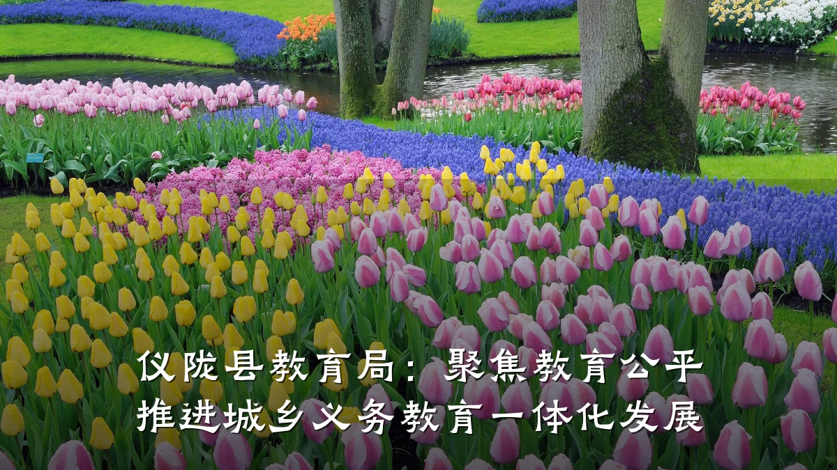 仪陇县教育局：聚焦教育公平 推进城乡义务教育一体化发展