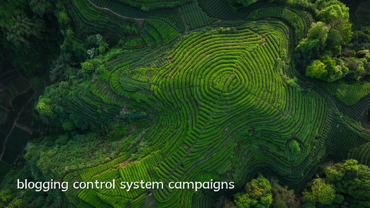 blogging control system campaigns