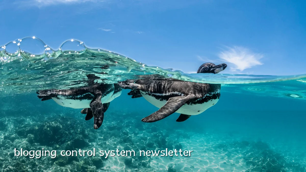 blogging control system newsletter