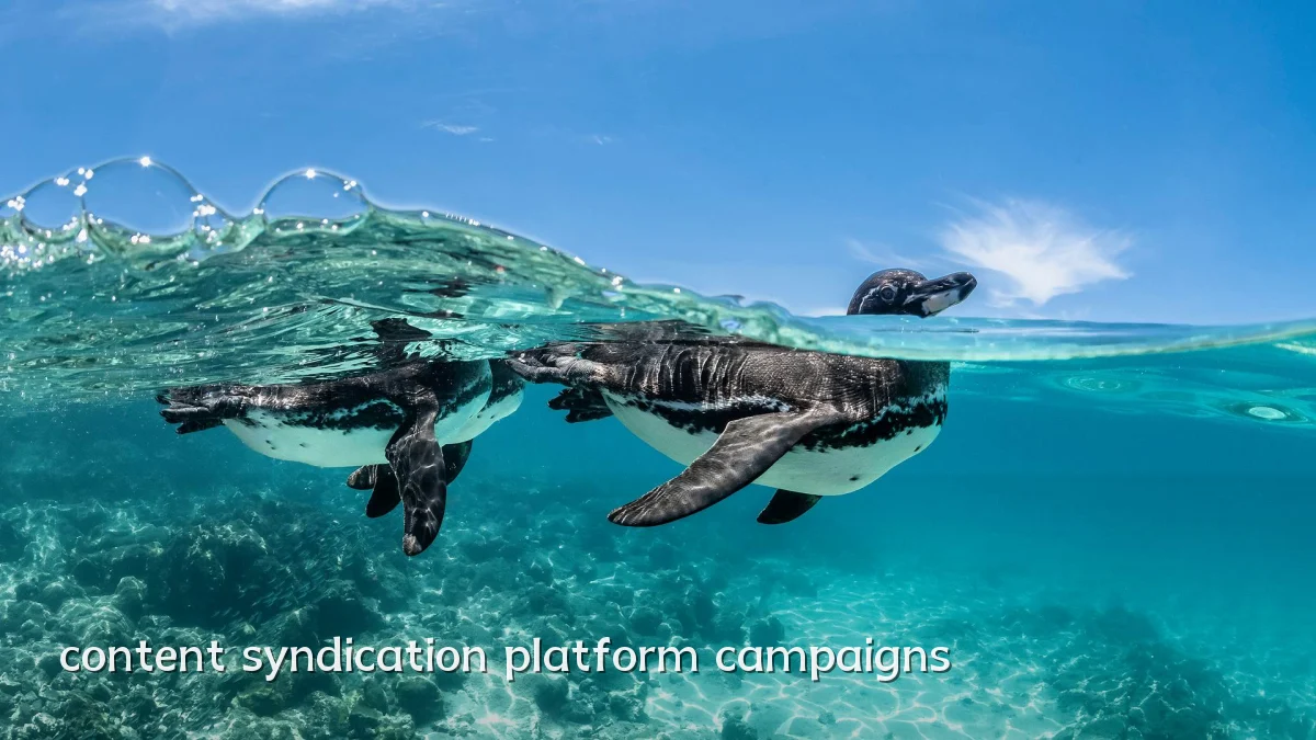 content syndication platform campaigns