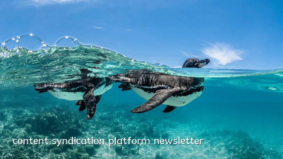 content syndication platform newsletter