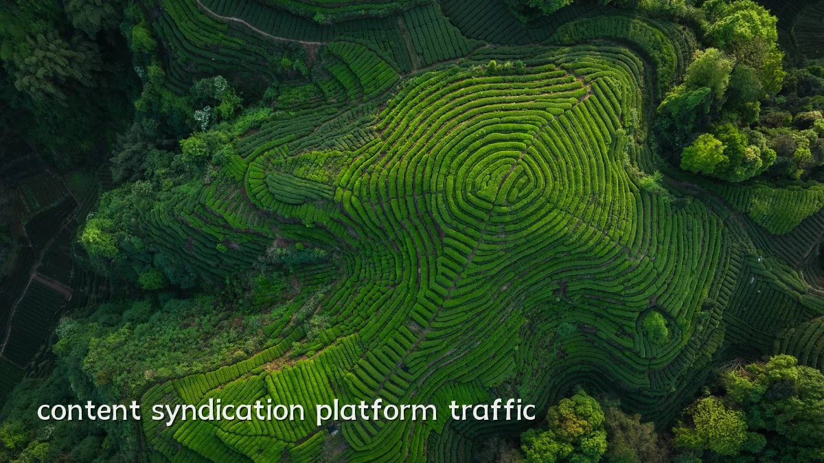 content syndication platform traffic