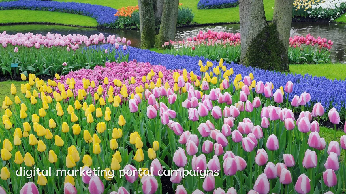digital marketing portal campaigns