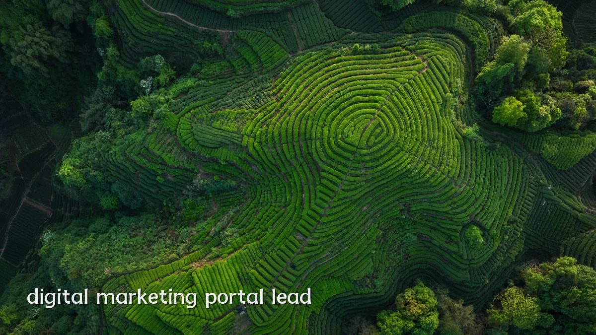 digital marketing portal lead