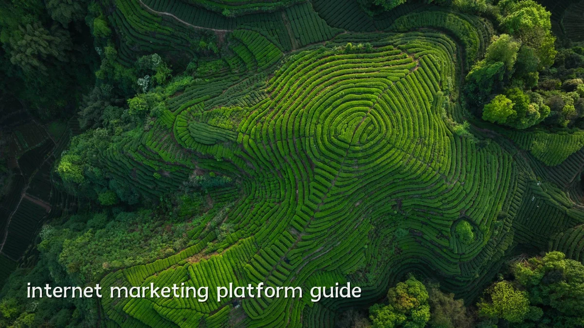 internet marketing platform guide