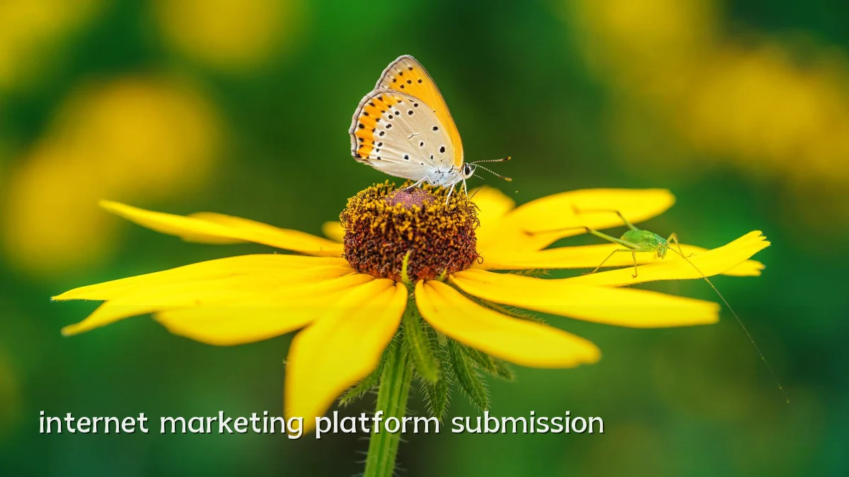 internet marketing platform submission