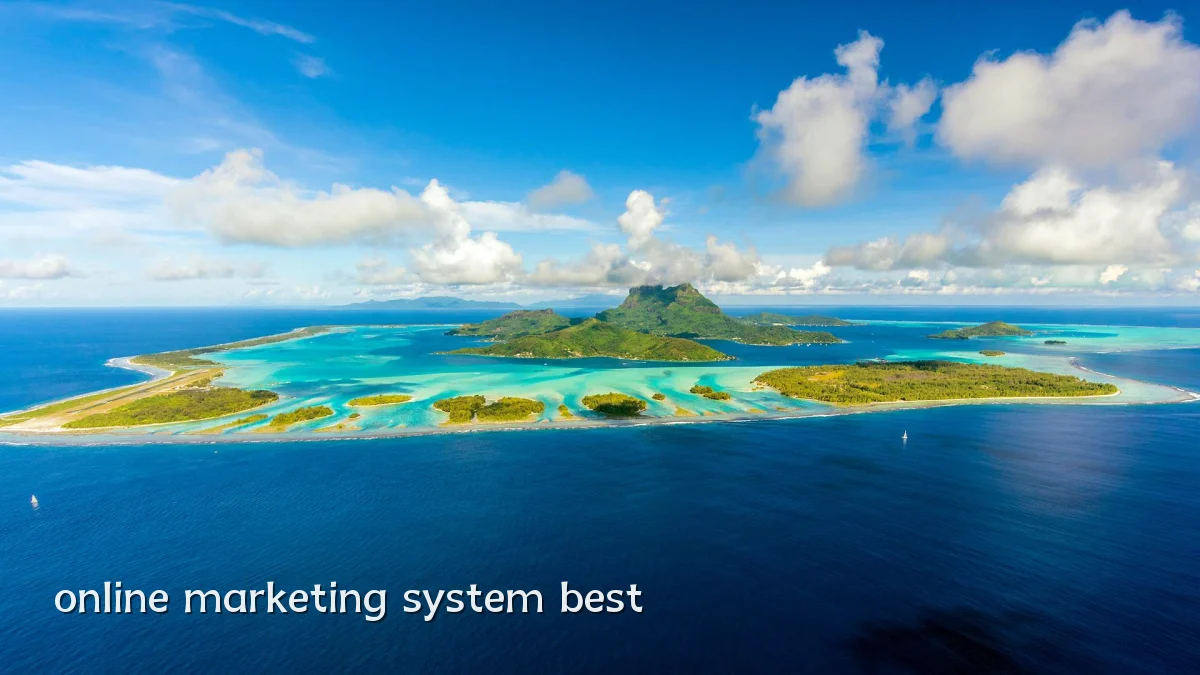 online marketing system best
