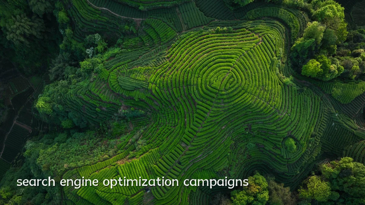 search engine optimization campaigns