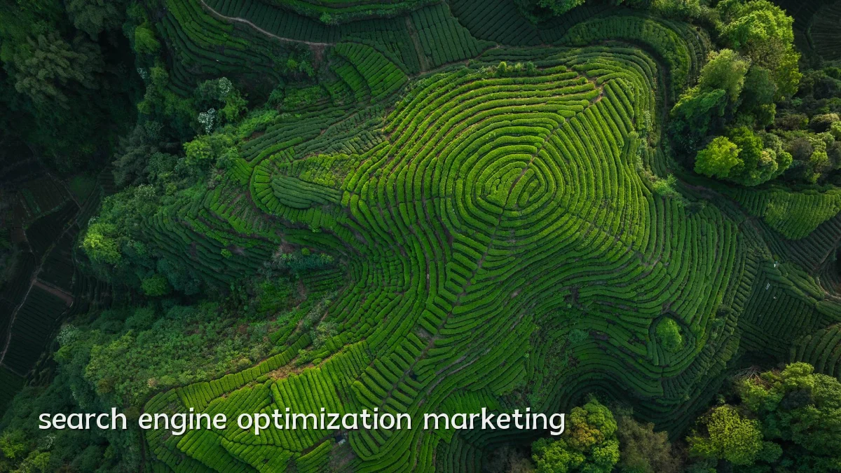 search engine optimization marketing