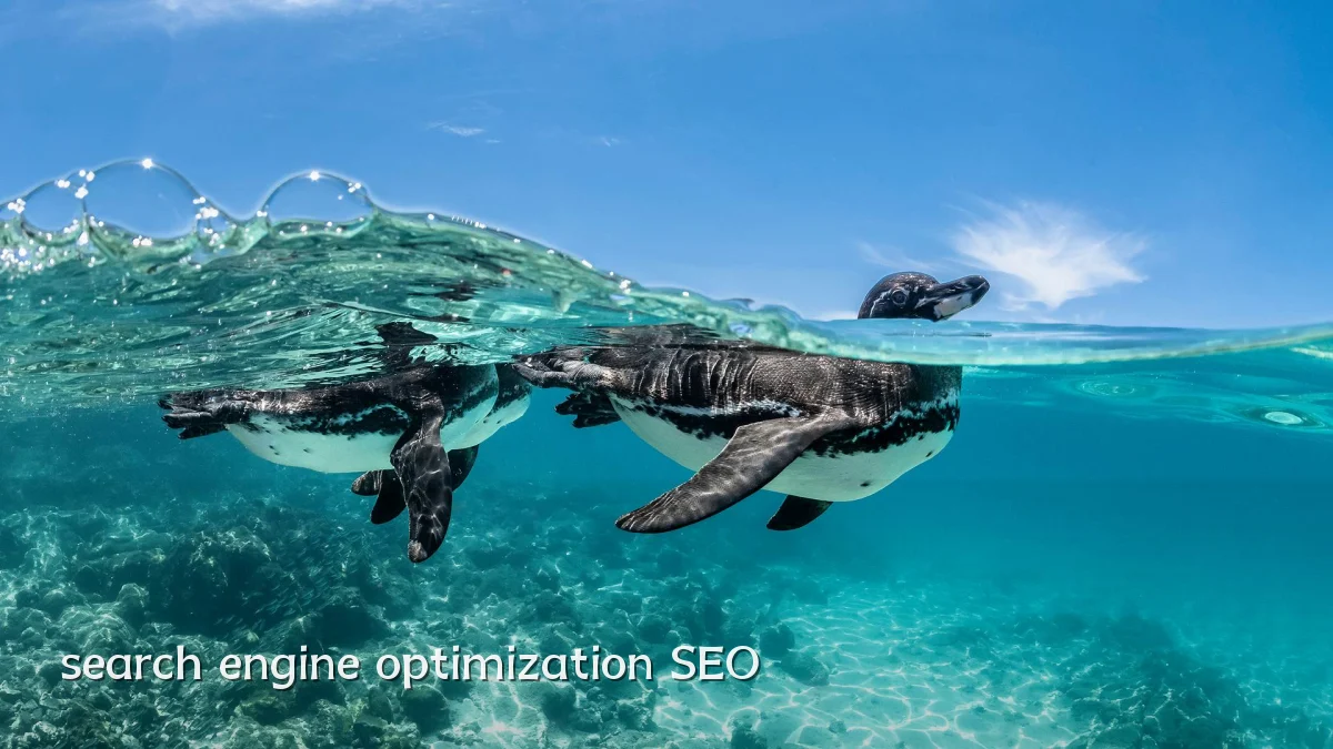 search engine optimization SEO