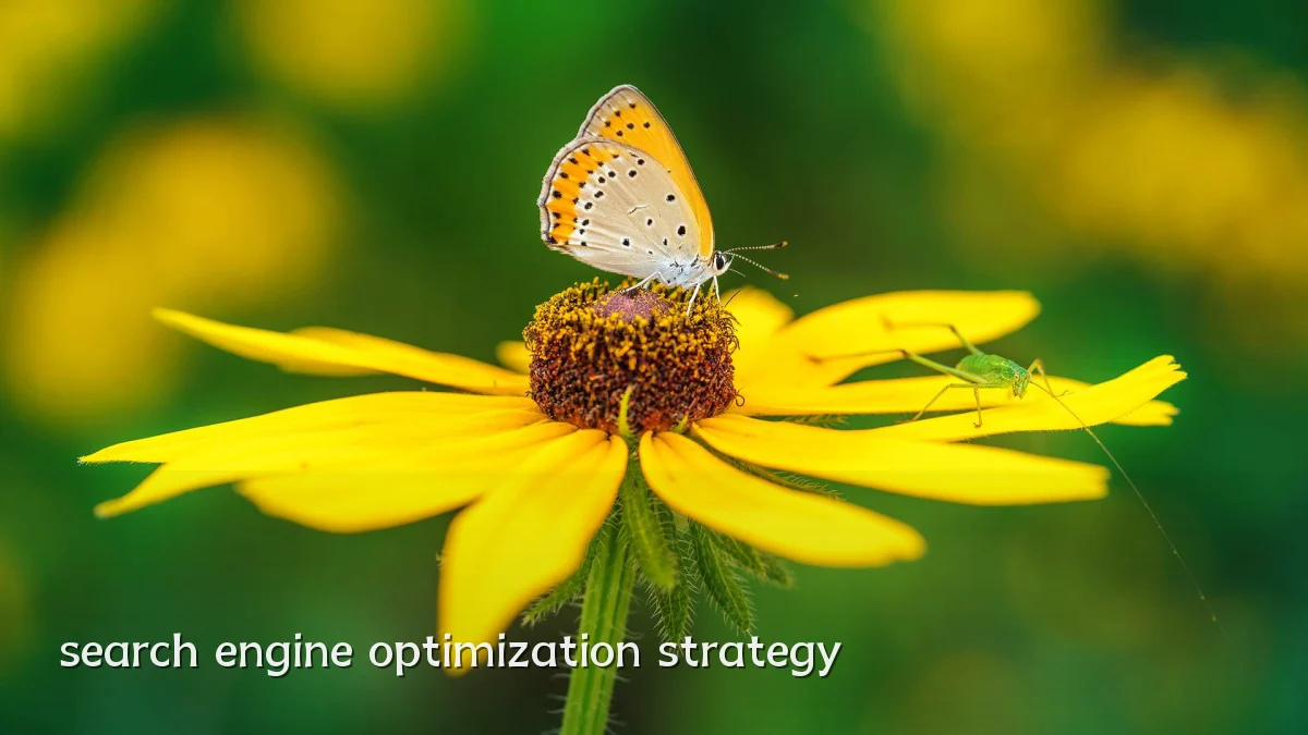search engine optimization strategy
