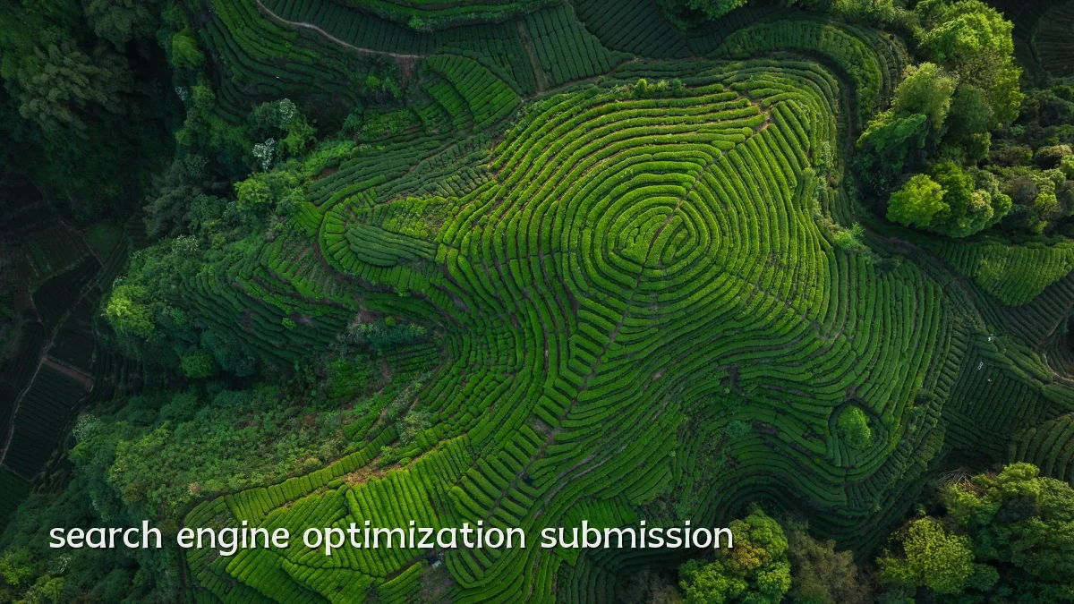 search engine optimization submission