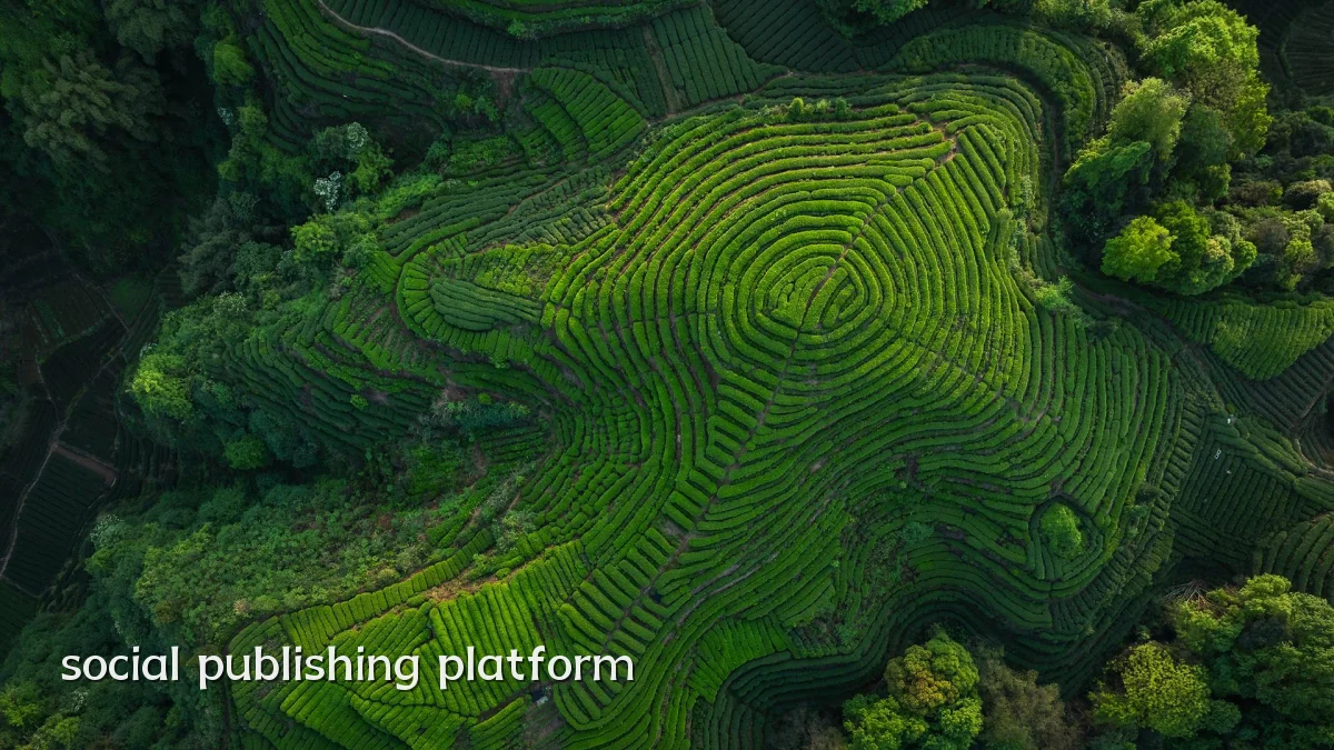 social publishing platform