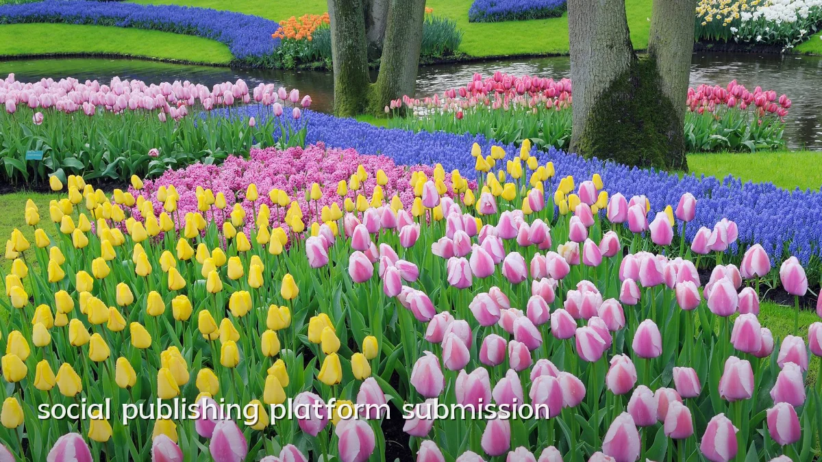 social publishing platform submission