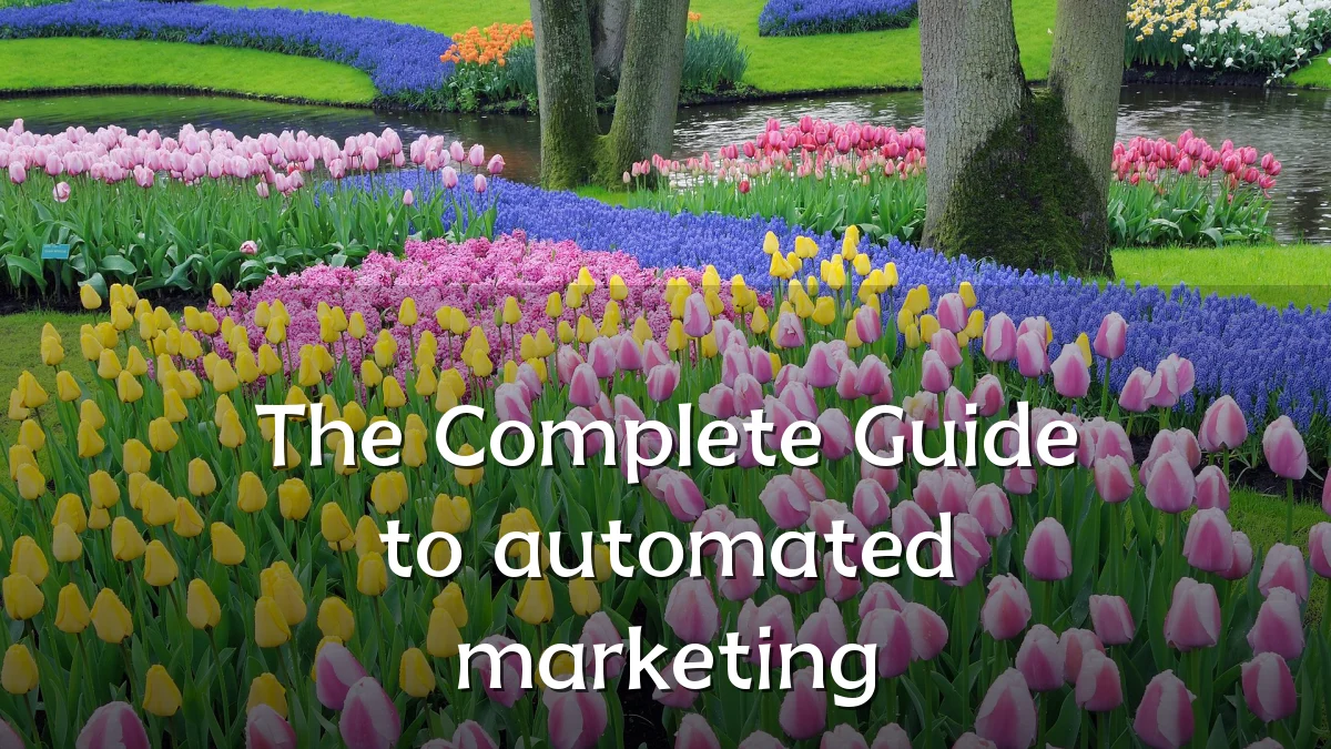 The Complete Guide to automated marketing