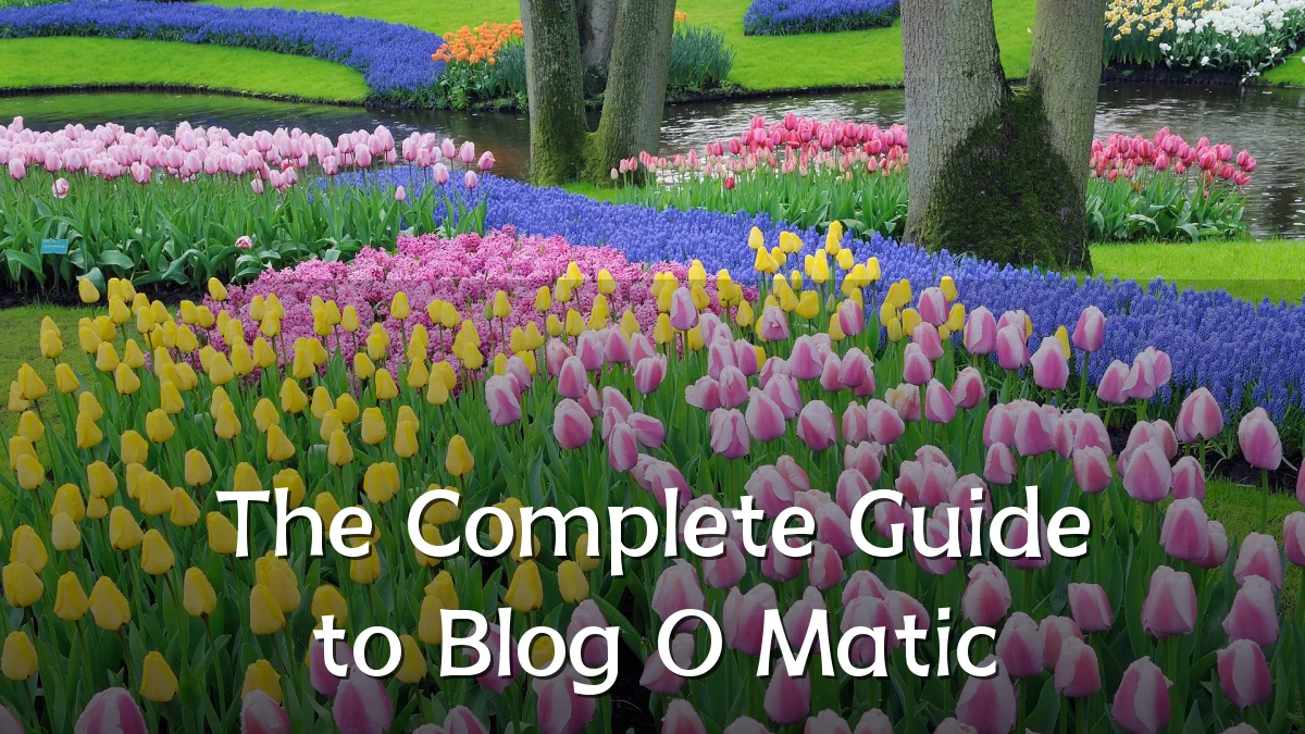 The Complete Guide to Blog O Matic