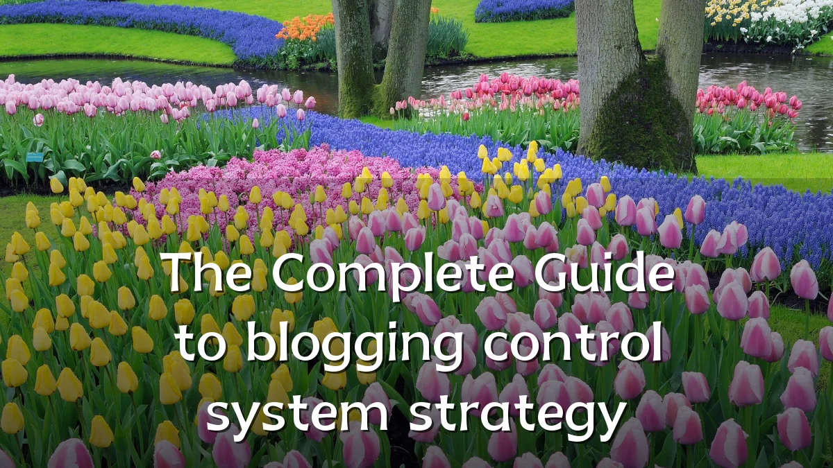 The Complete Guide to blogging control system strategy