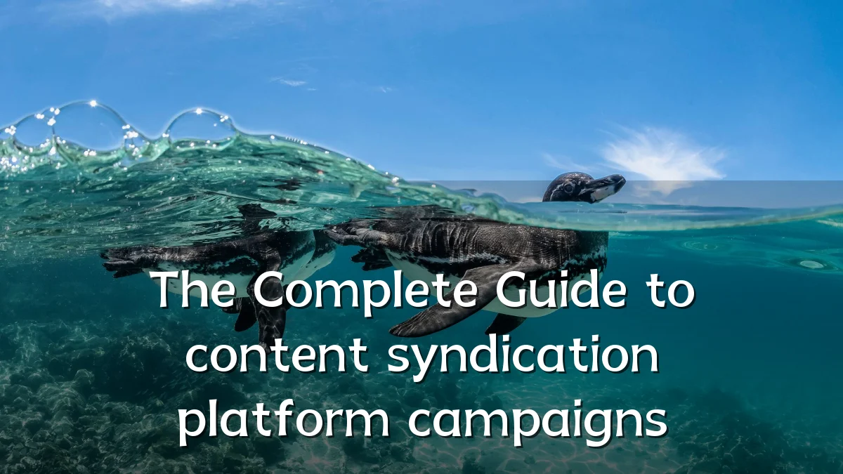 The Complete Guide to content syndication platform campaigns