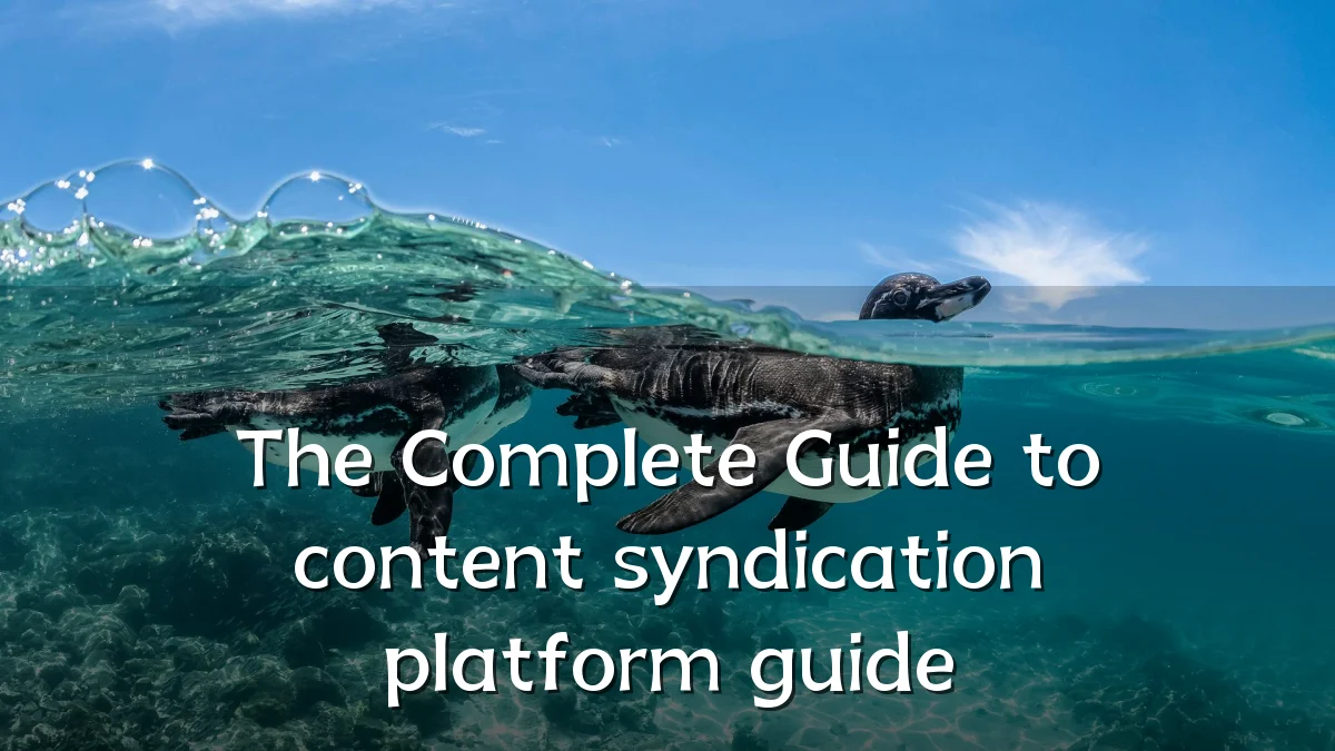 The Complete Guide to content syndication platform guide
