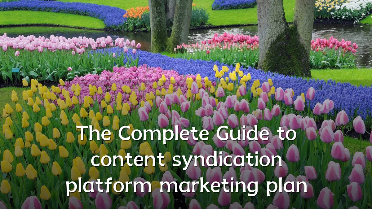 The Complete Guide to content syndication platform marketing plan