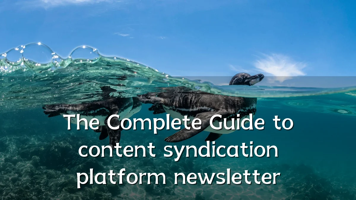 The Complete Guide to content syndication platform newsletter