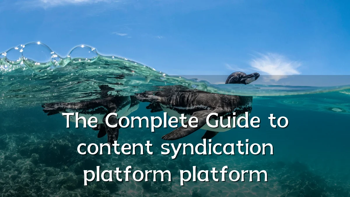 The Complete Guide to content syndication platform platform