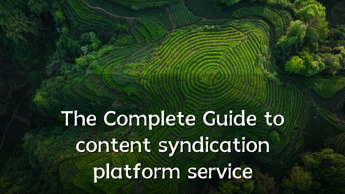 The Complete Guide to content syndication platform service