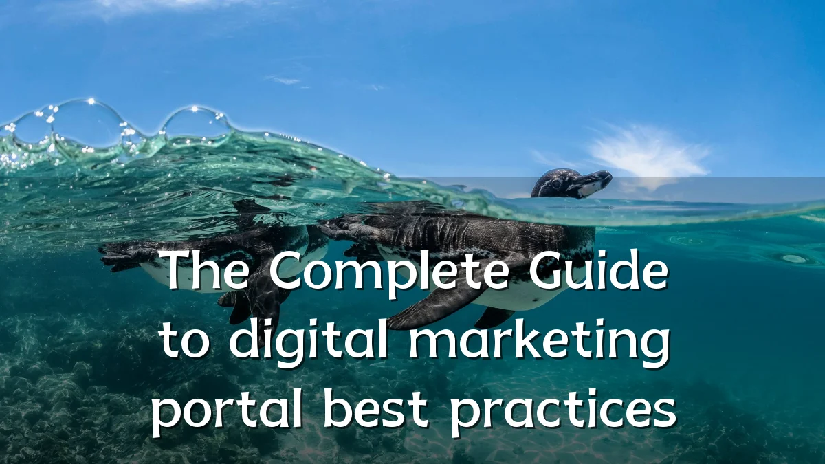 The Complete Guide to digital marketing portal best practices