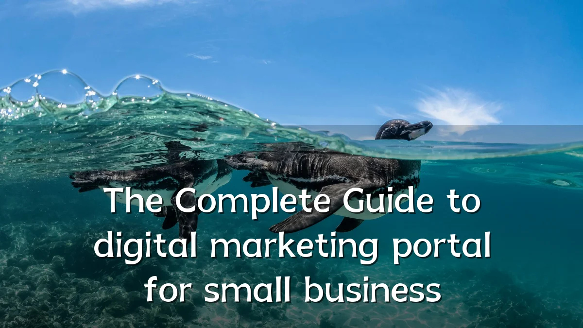 The Complete Guide to digital marketing portal for small business