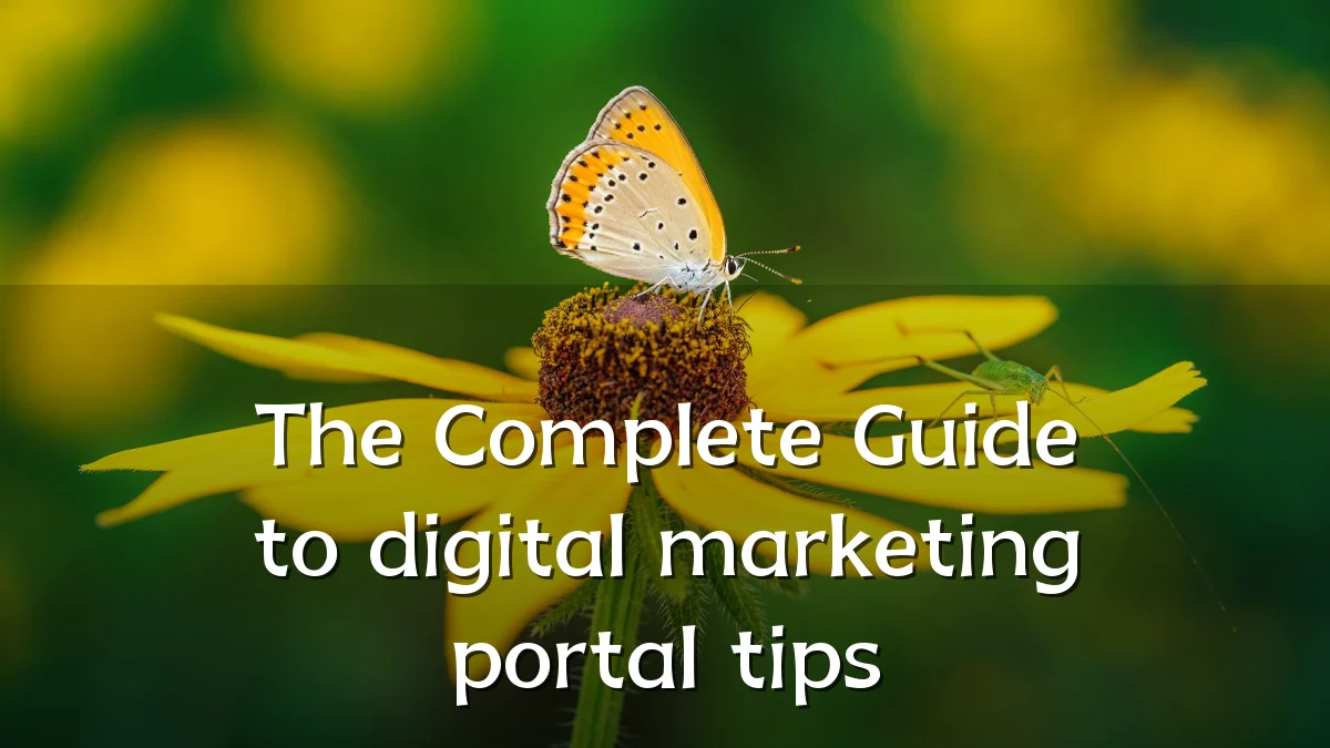 The Complete Guide to digital marketing portal tips