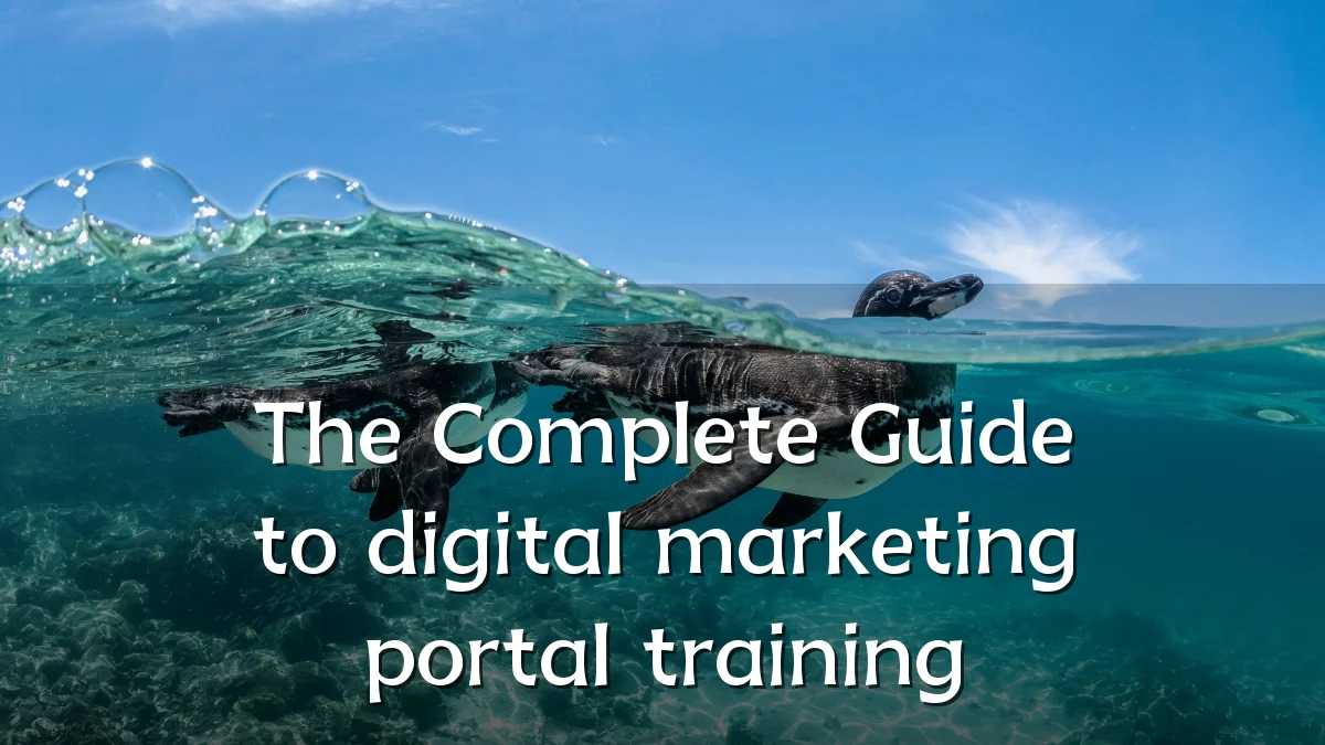 The Complete Guide to digital marketing portal training