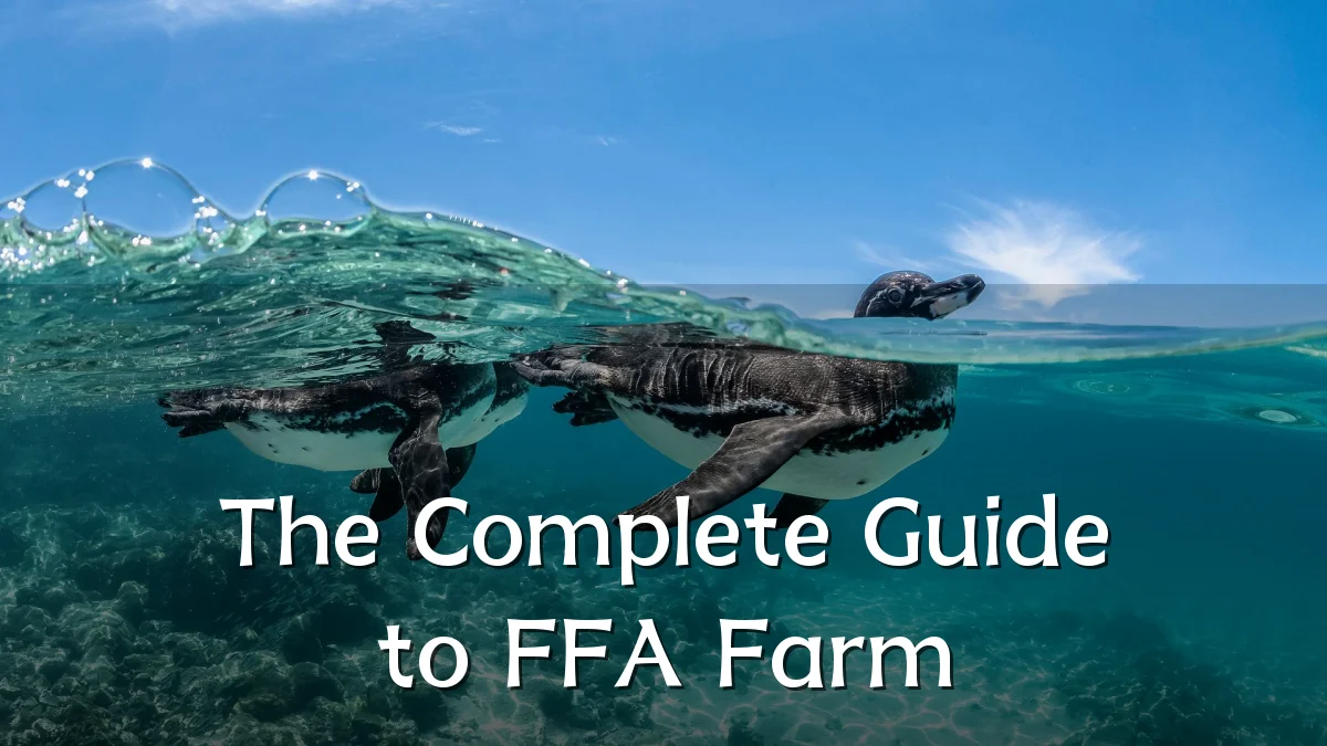 The Complete Guide to FFA Farm